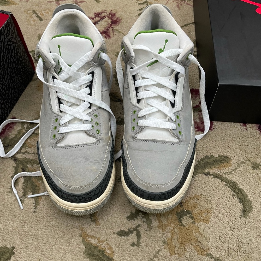 Jordan 3 chlorophyll
